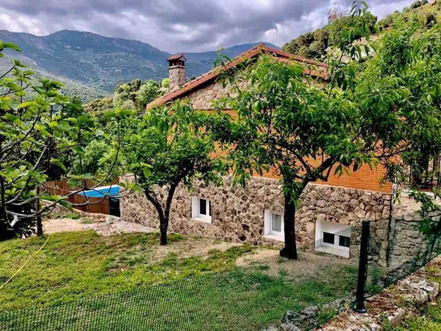 Casa Balta Hébergement de vacances *